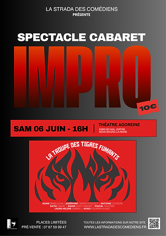 LES TIGRES FUMANTS(4).png