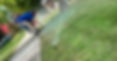 Adjustments_edited.jpg