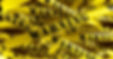 856DEE6F-56EE-44EF-B9D5-4A3FE7825AE4_edited.jpg