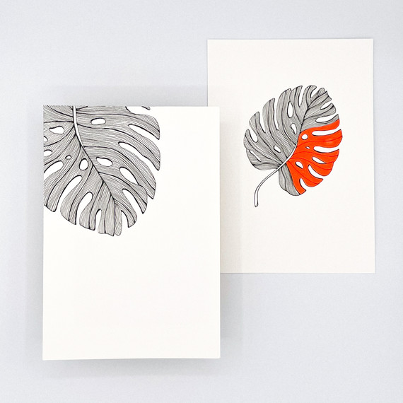 Monstera