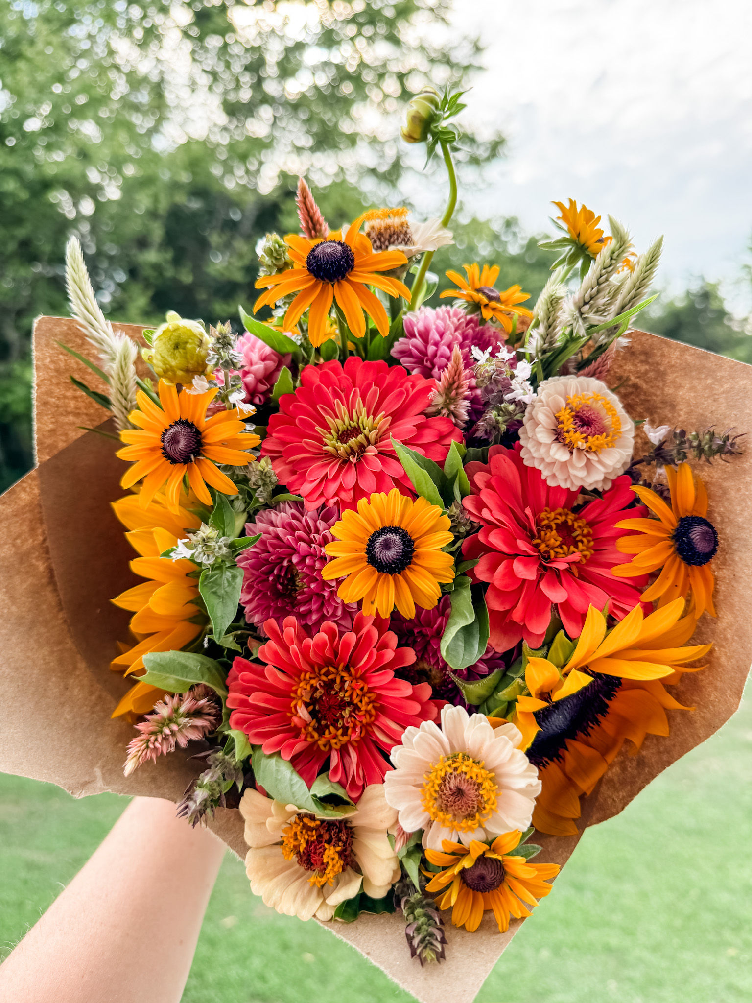 2025 Monthly Summer Subscription