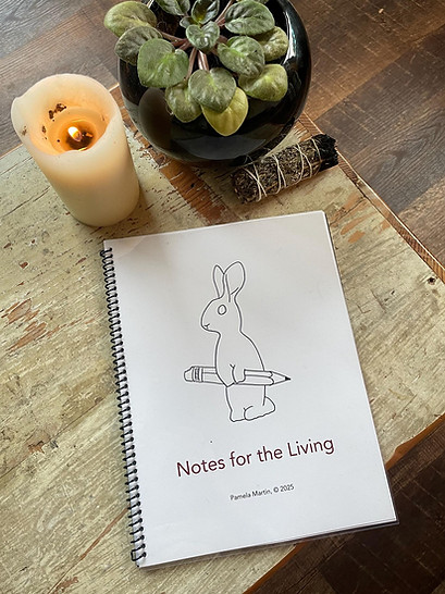 Here is the cover of Notes for the Living, our book