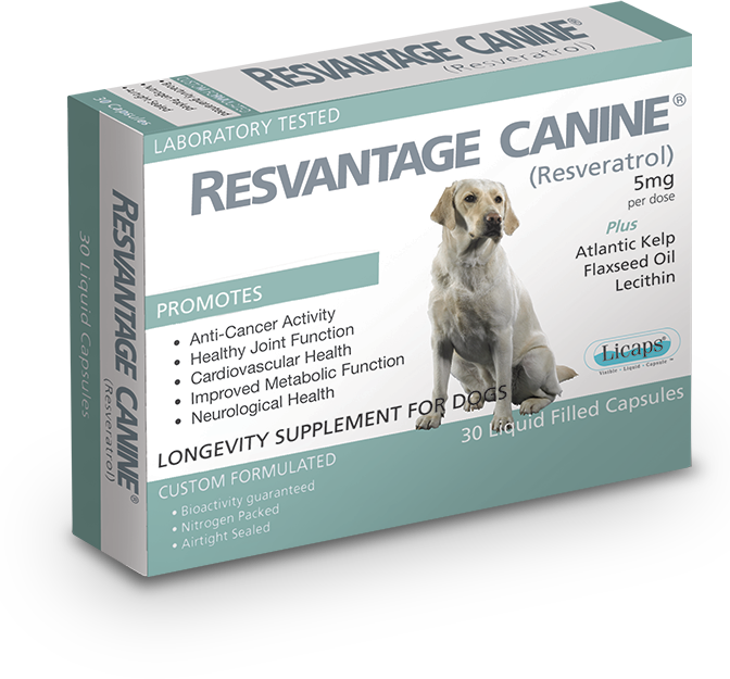 RESVANTAGE® 維蘆醇 白藜蘆醇 (犬用) 30粒