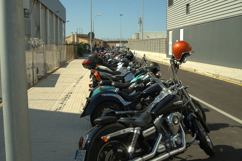 _DSC0219.ARW