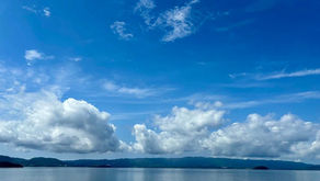 【note更新しました】自然はいつも、私たちを見ている。