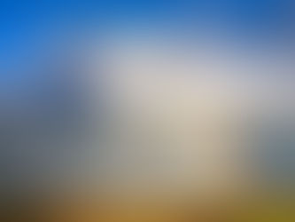 参加者のご感想「やまとことば姓名鑑定」をご紹介します