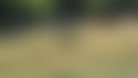 参加者のご感想「A to Beingマスターコース」をご紹介します