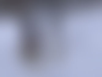 犬ぞり&乗馬&ワカサギ釣りツアー