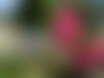 女性経営者たち