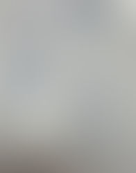 2025年を振り返り、来年を展望する