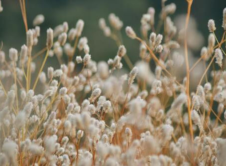 参加者のご感想「9/11リーダーのための言霊塾 初伝」をご紹介します