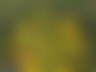「苦手意識につながるもの」
