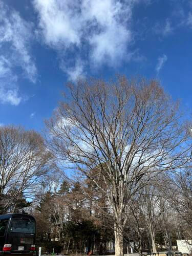 自分に戻ると、実現する。