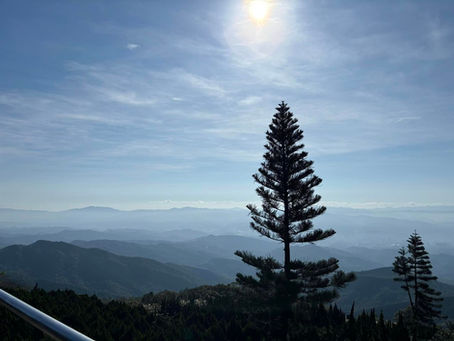 私たちは背中を見られている