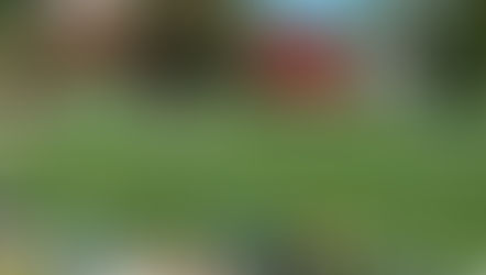 甥のサッカー⚽️妹のズンバ