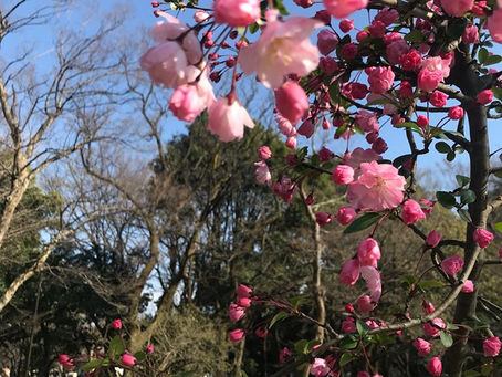 清明塾 1期 始まりました!