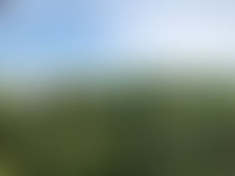 参加者のご感想「リーダーのための言霊塾【初伝】」をご紹介します