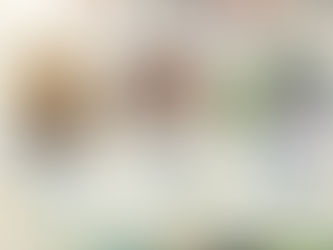 鼎談、ファシリテーターとゲストの一人二役