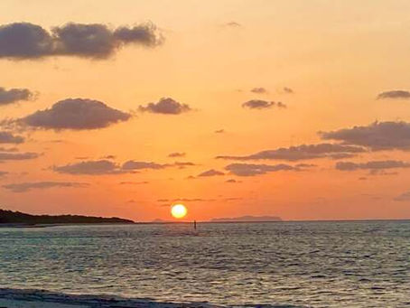 「絶望から創られた大学」って興味深くないですか？