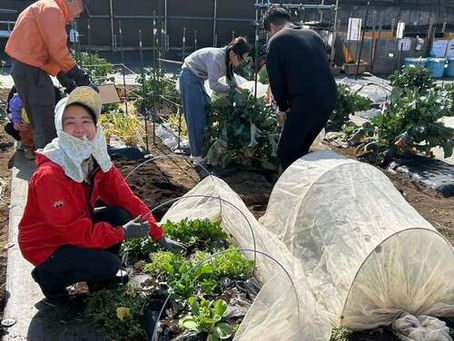 ひらりファーム収穫