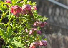 自分が整うと、変えようとしなくても変わっていく