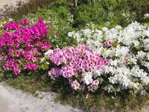 参加者のご感想「ミドルエイジクライシスのその先へ」をご紹介します