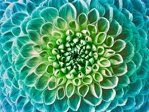 Strategy for Wholeness