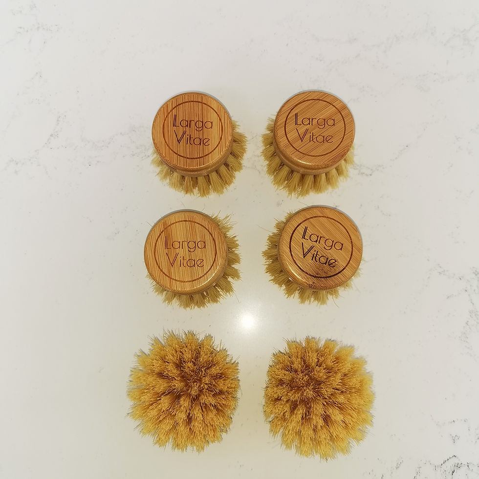 Tête de rechange pour brosse de nettoyage