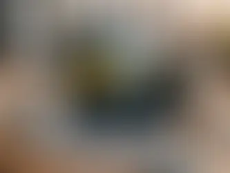 Unleashing the Magic: My Journey of Setting Up the HP LaserJet Pro M15w Printer Wirelessly Using 123.hp.com/setup