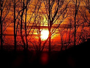Sunrise over the English Channel viewed through mostly bare trees