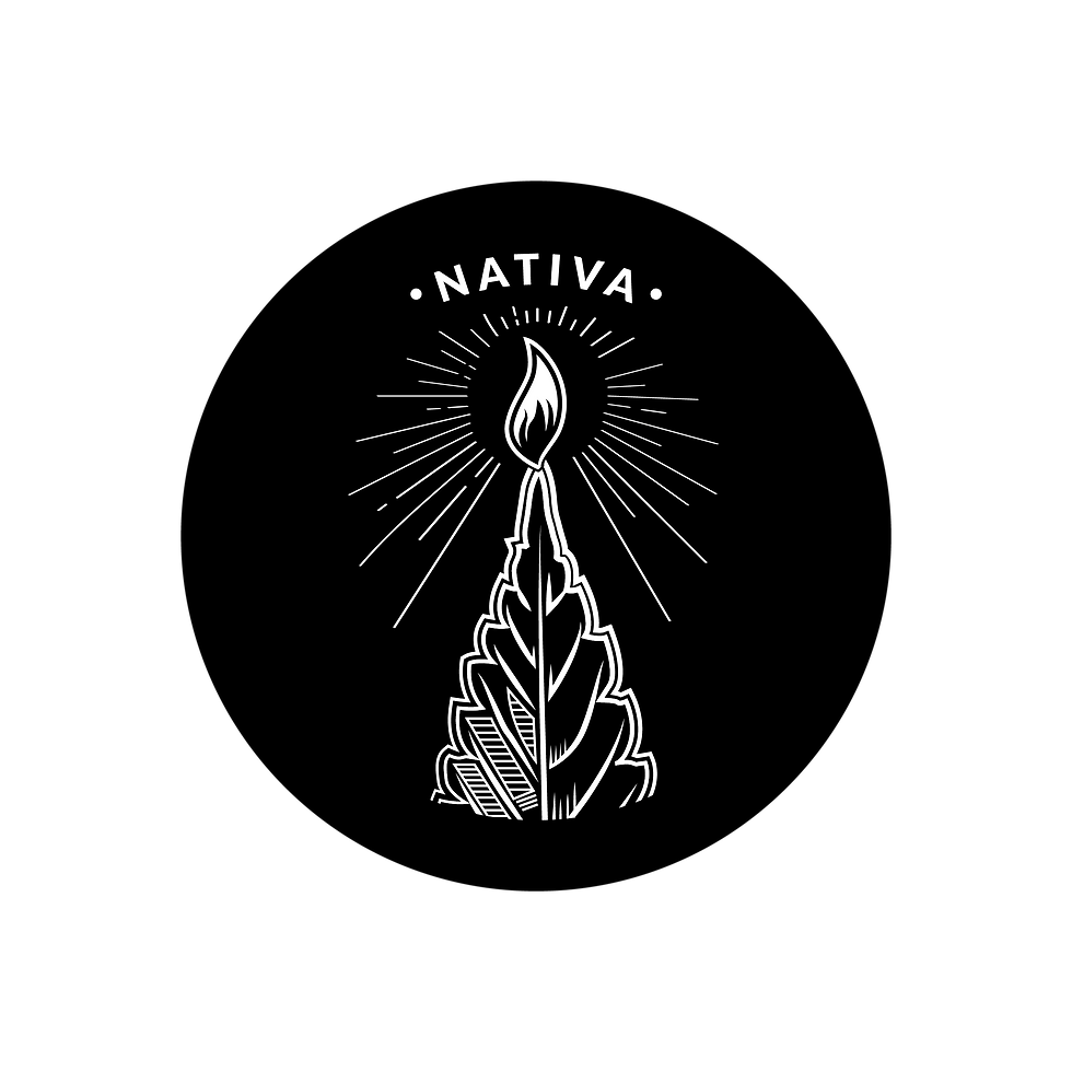 logo_nativa_dim_standard