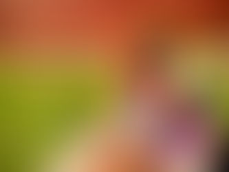 Testimonial~The Proof of Mother God 