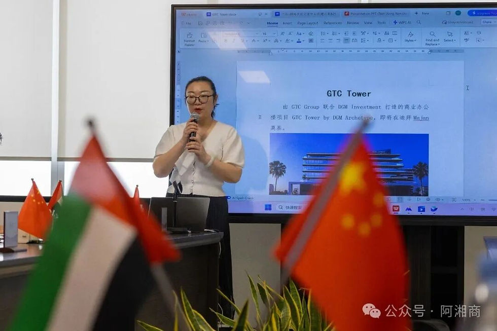 阿联酋湖南商会副会长王璐发言