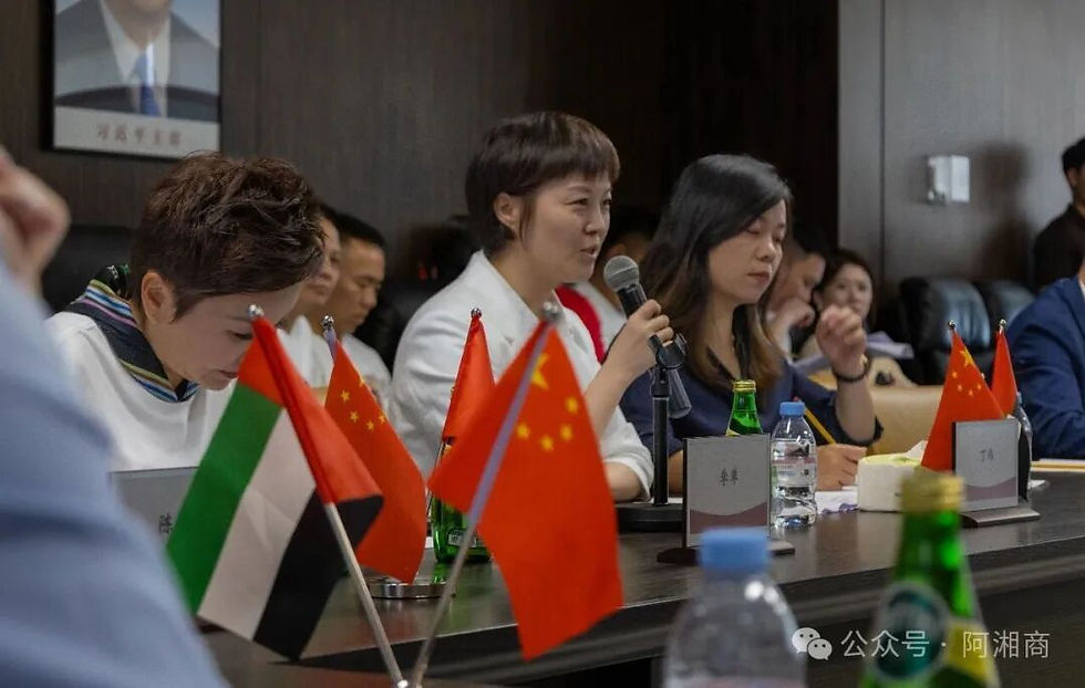 大湘菜报及湖南湘菜文化发展有限公司总经理丁伟发言