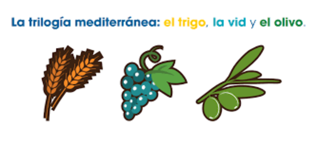 Mediterranean Trilogy