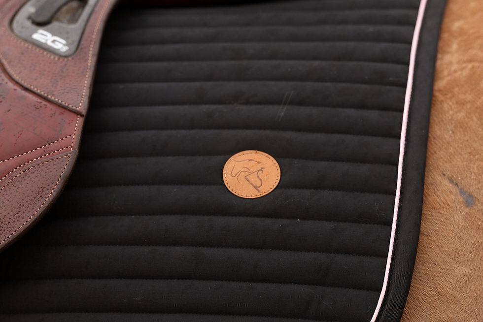 Thumbnail: Saddle pad horizon Black and Pink