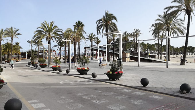 Mantenimiento zonas verdes y arbolado del Alcudia