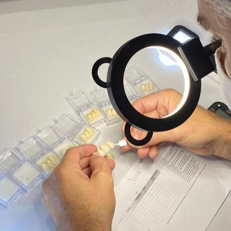 Elegir el mejor zirconio.