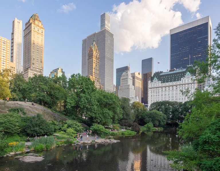 Biodiverdade em Cidades Sustentáveis I Arquitetura