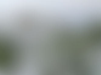 Fall 2025 Newsletter