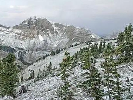 Fall 2025 Newsletter