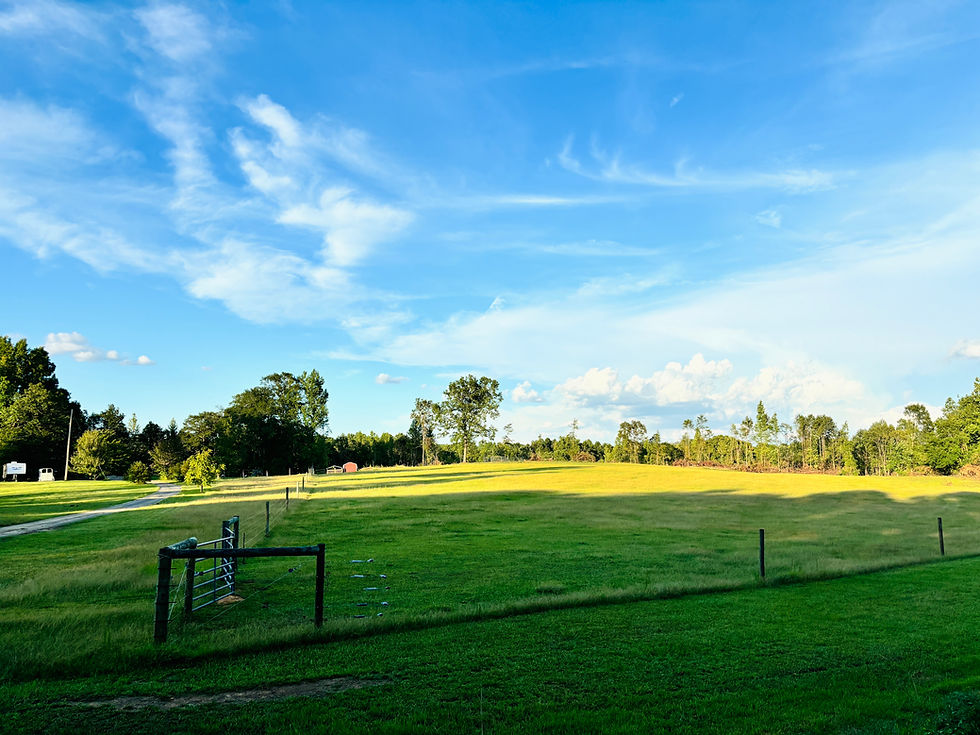 pasture.jpg