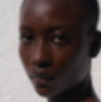 pexels-blackben-35670147.jpg
