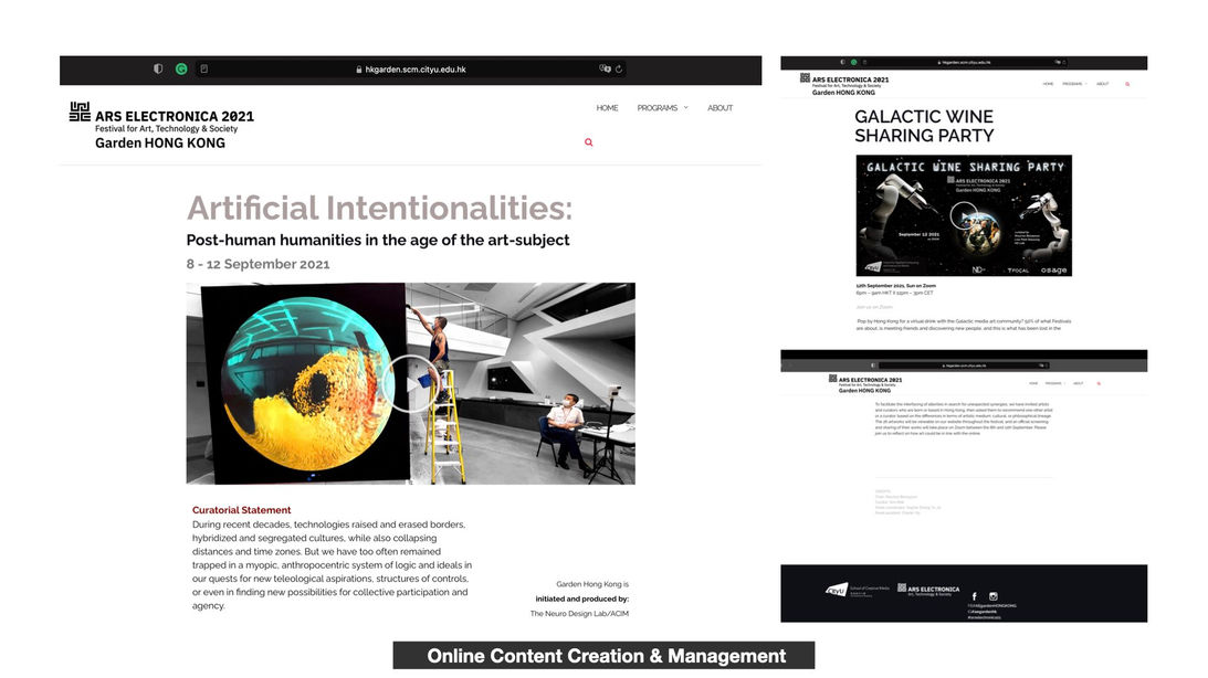 Portfolio-Design_9.jpeg