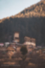 Chehni Kothi, Banjar, Himachal Pradesh
