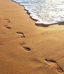 Footprints 3.png