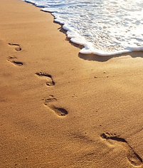 Footprints 3.png