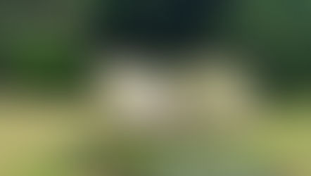 Jane Austen cumpre 250 anos máis viva ca nunca