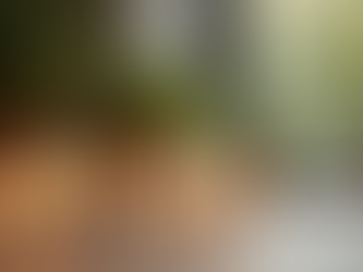 Finding Inner Peace: Tools for Emotional Safety