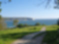 20200514_074815.jpg